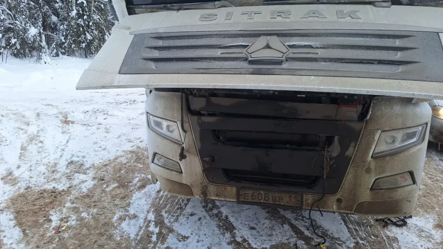 Автоэлектрик Ситрак с выездом Автоэлектрик Ситрак